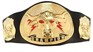 gold champion belt