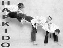 Hapkido