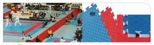 Taekwondo Mat